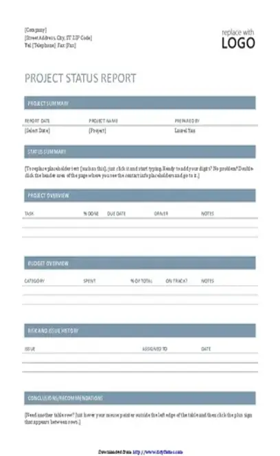 Project Status Report Template 1