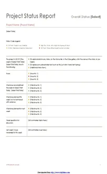 Project Status Report Template 2