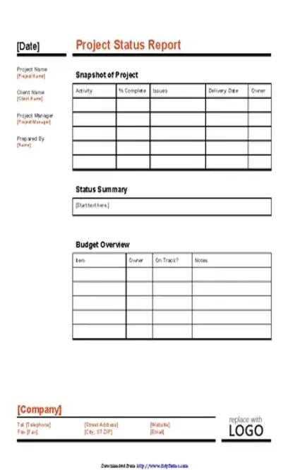 Project Status Report Template 4