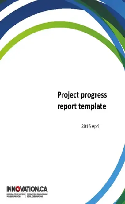 Project Summary Report Template