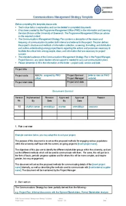 Project Team Update Template