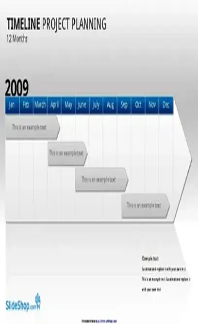 Project Timeline Template 2