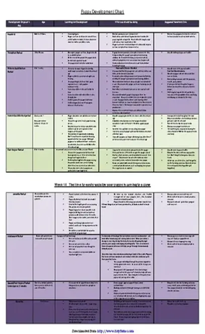 Puppy Development Chart