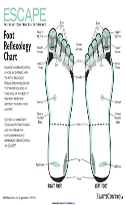 Reflexology Chart 2