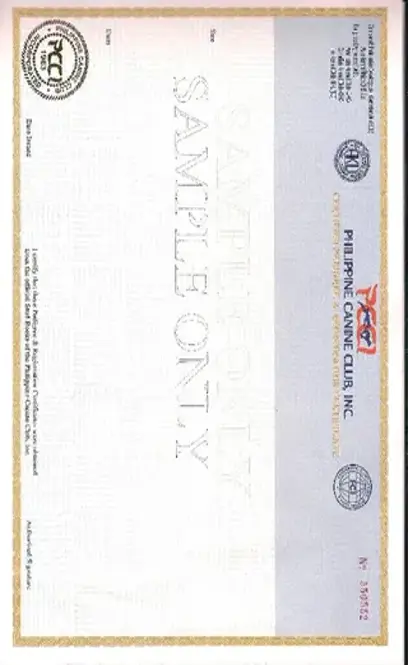 Registration Certificate Of Dog