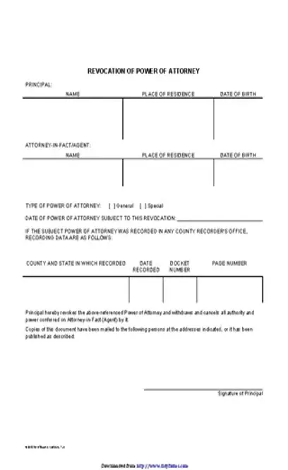 Example Document