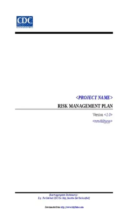 Risk Management Plan Template 1