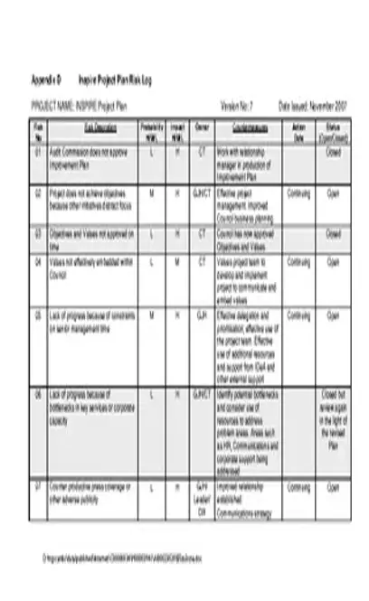 Risk Project Log Template