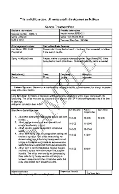 Sample Treatment Plan