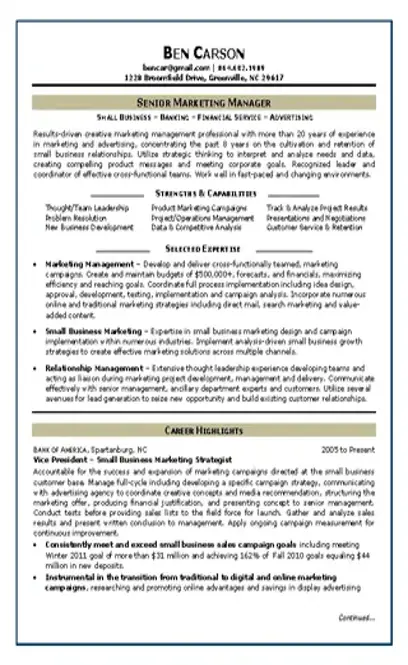 Senior Marketing Analyst Resume Free Pdf