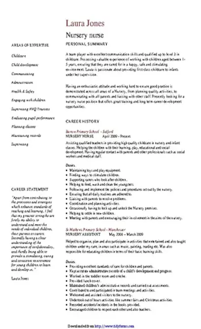 Simple Cv Template 2