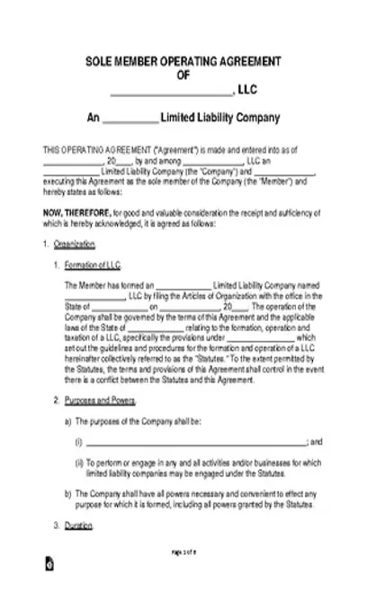 Single Member Llc Operating Agreement Template