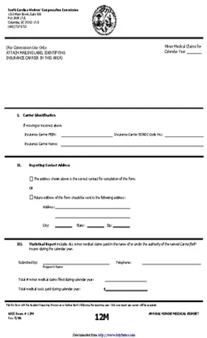 South Carolina Annual Minor Medical Claims Form