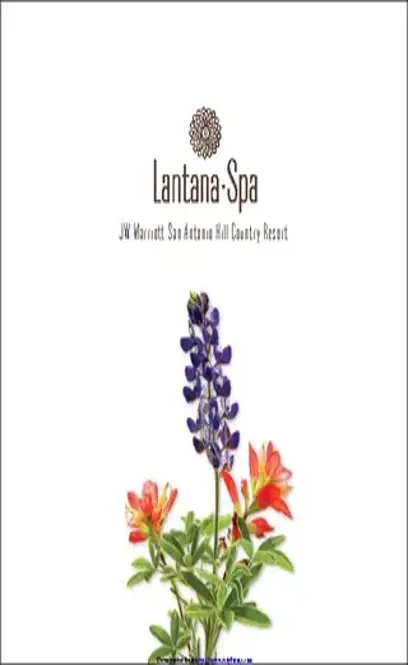 Spa Brochure 3