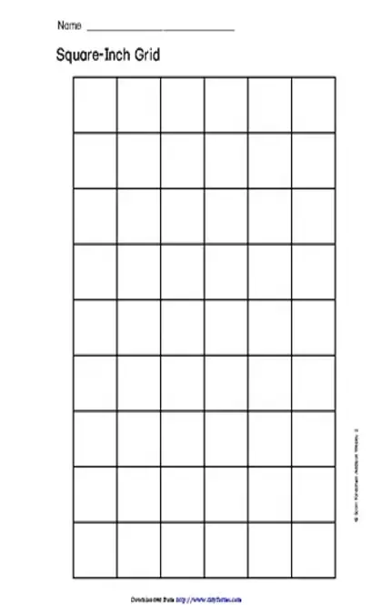 Square Inch Grid