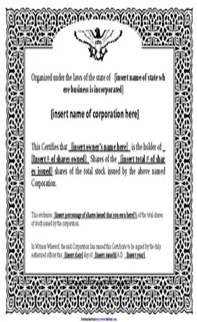 Stock Certificate Template 2