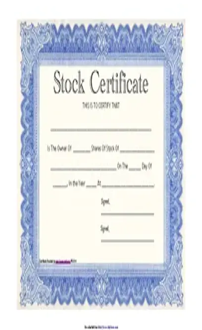 Stock Certificate Template 3