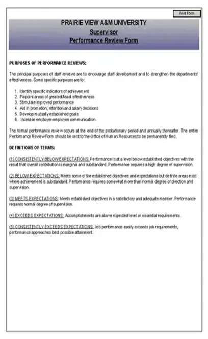 Supervisor Performance Evaluation Template