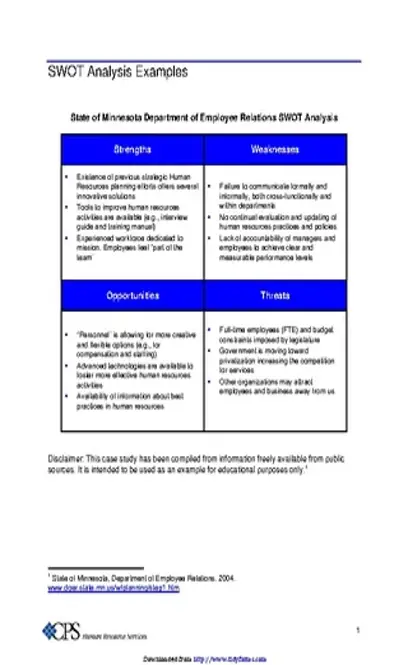 Swot Analysis Example 2