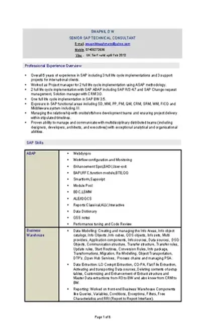 Technical Consultant Resume