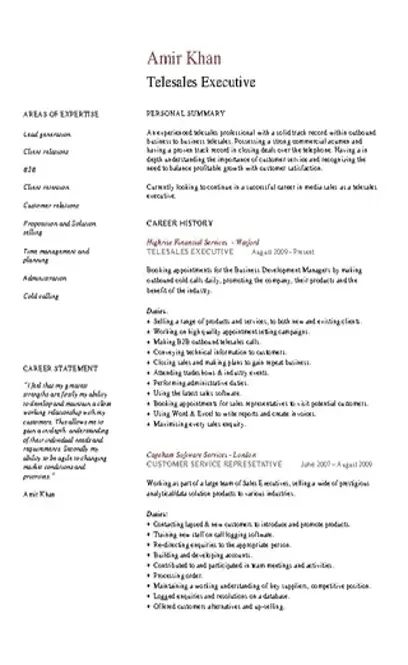 Telesales Executive Cv Example