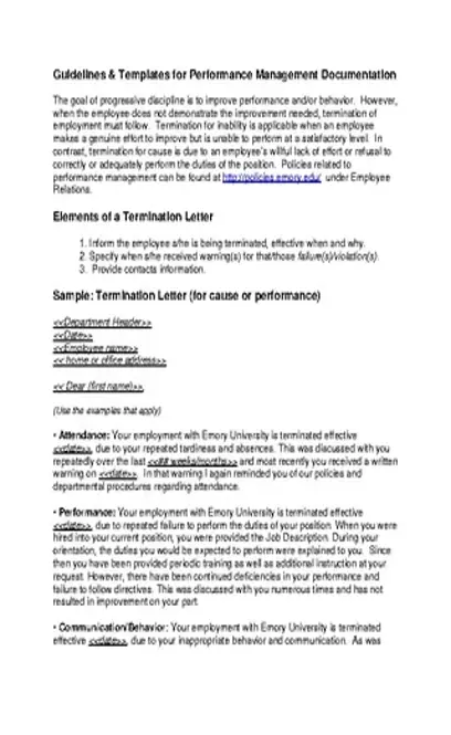 Termination Letter