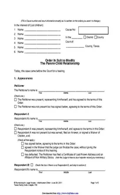 Texas Child Custody Form