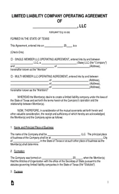 Texas Llc Operating Agreement Template