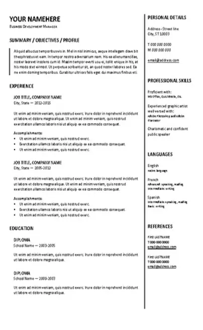 Traditional Resume Template A4