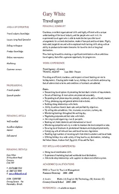 Travel Agent Cv Example