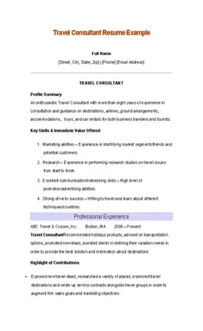 Travel Consultant Resume Example