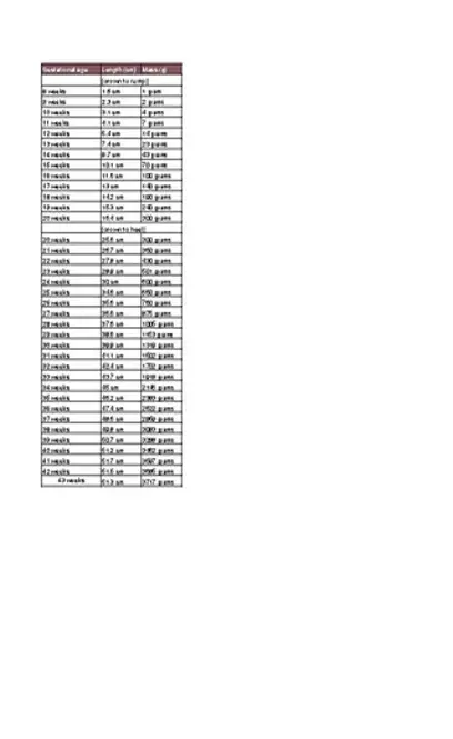 Unborn Baby Growth Chart In Excel