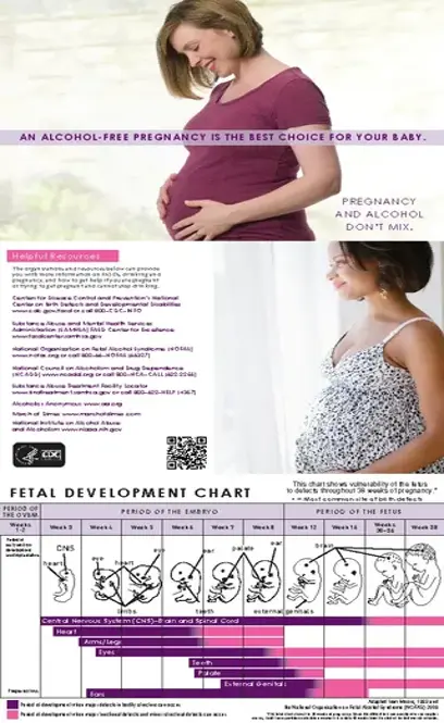 Unborn Baby Growth Chart Template