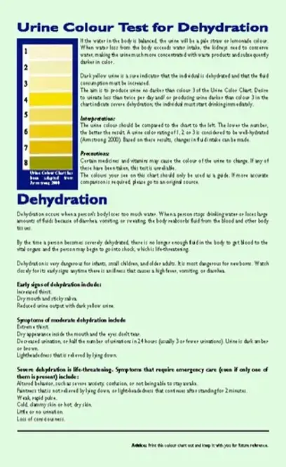 Urine Color Chart