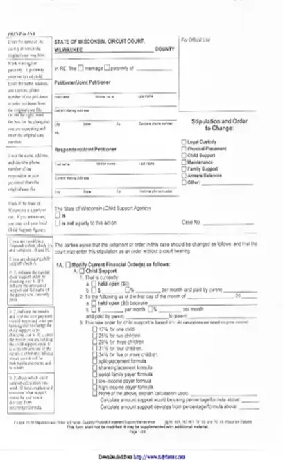 Wisconsin Child Custody Form