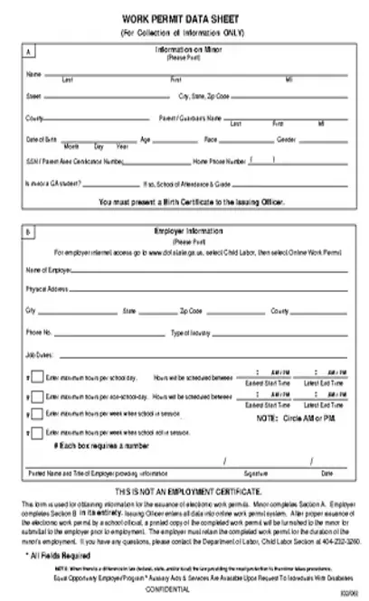 Work Permit Data Sheet