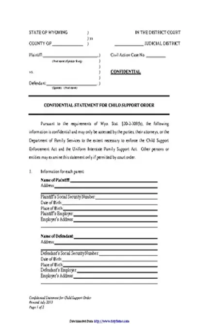 Wyoming Confidential Statement For Child Support Order Form